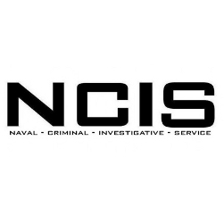 Fundraising Page: Team NCIS